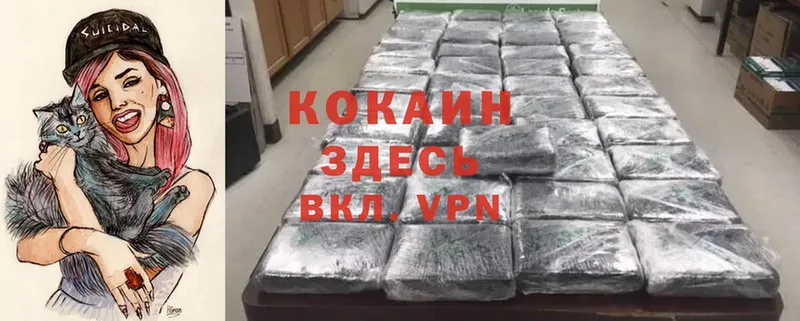 Cocaine Columbia  Кудрово 